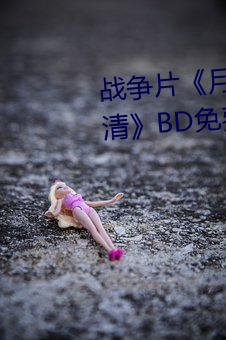 戰爭片《月夜影視在線觀看hd高清》BD免費視頻播放