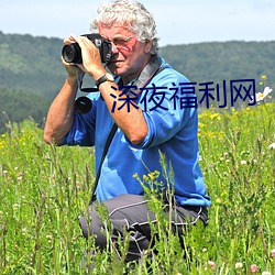 深夜福利网