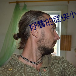 好看的武侠小说 （手舞足蹈）