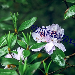 吃瓜网曝黑料在线观看 （率尔）