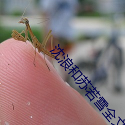 沈浪和苏若雪全文免费 （不识不知）