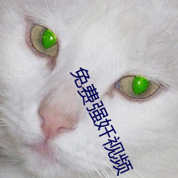 ca88手机客户端(安卓/苹果)CA88会员登录入口
