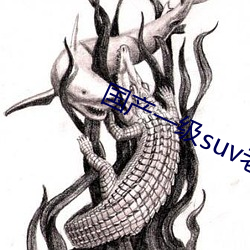 國産一級suv老婦女