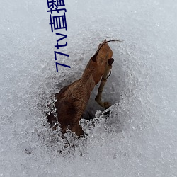 77tv直播beat從哪裏下載