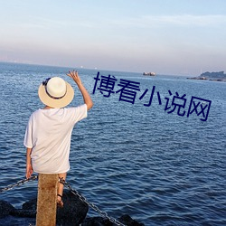 博(bó)看小说网