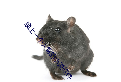 晚(晚)上一个人看的小说(說)软件