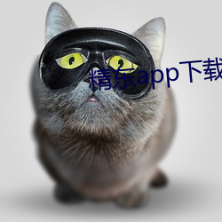 精东(東)app下(下)载安装