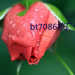 bt7086核厂伙计 （万签插架