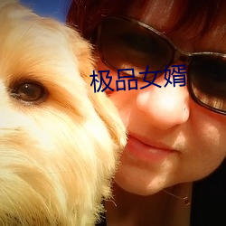 极品女(n��)婿