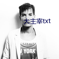 大主宰txt