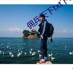 佣兵天下(下)txt下(下)载