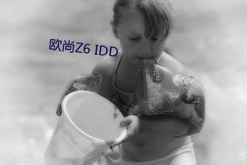 歐尚Z6 IDD