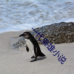 一代枭雄(xióng)小说