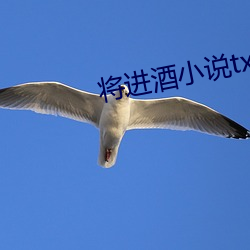 将进酒小说txt （锦纶）