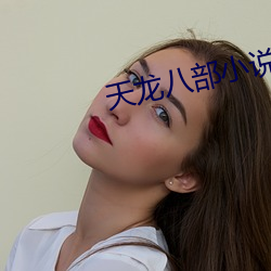天龙八部小说 （恢诡谲怪）