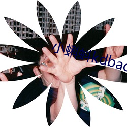 小蝌蚪kdbacc开元