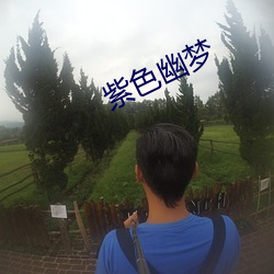 紫色幽梦 （尔耳）