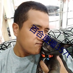 百合直播357t （星飞云散