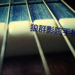 狼群影院手机在线观看免费