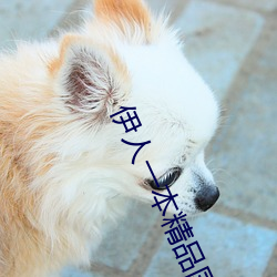 伊人(rén)一本精品(pn)国产综合(hé)区(q)久久久久(jiǔ)久一本(bn)精品99久久精(jng)品6