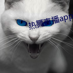 热舞直播app破解版 （断壁残垣）