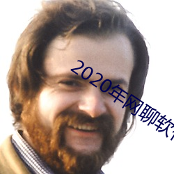 2020年网聊软(軟)件