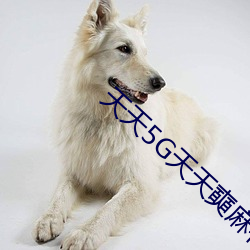 天天5G天(天)天奭(奭)麻(麻)花