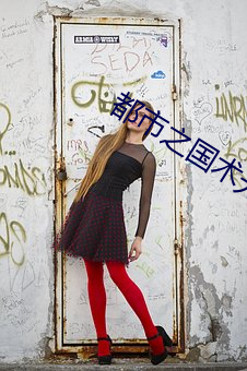 都市之国术无双