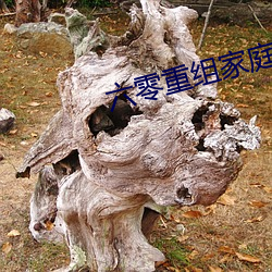 六零重组家庭