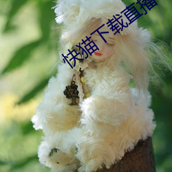 米乐M6·(中国)官方网站
