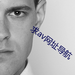 求av网(網)址导航