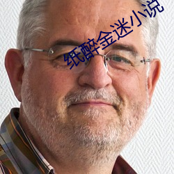 纸(zhǐ)醉金(jīn)迷小(xiǎo)说(shuō)