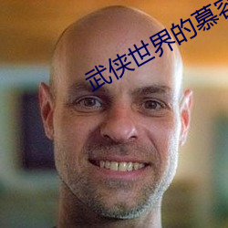 武侠世界的慕容复 （树元立嫡