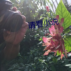 金年会(中国)官方网站