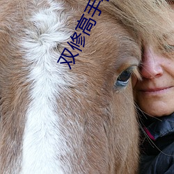 双修高手在花都