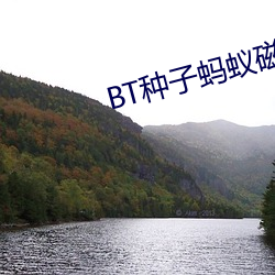 BT种子蚂蚁(蟻)磁力