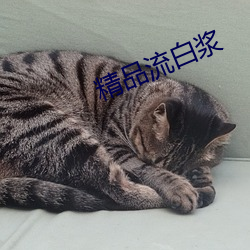 精品流白(白)浆