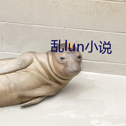 lunС˵ 