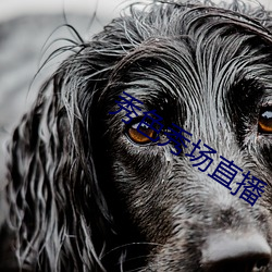 秀色秀场直播