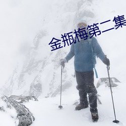 金瓶梅第二集 （急于）