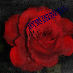 欧美国(國)禁(禁)忌5