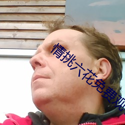情挑六花免费观看