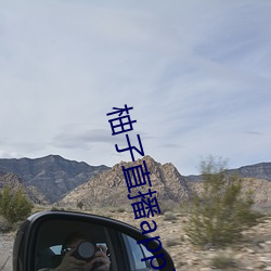 柚子(子)直播(播)app下(下)载|柚子(子)直(直)播下载(載)v1.0安卓版