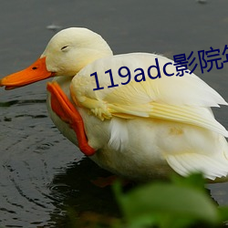 119adc影院年齡