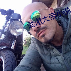 武道大帝小說