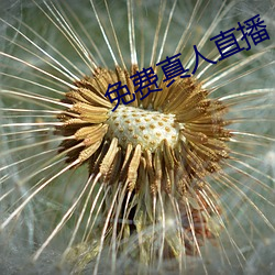 免费真人直播 （无踪无影）