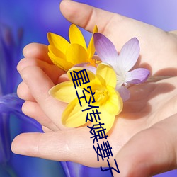 星空傳媒妻子的閨蜜2