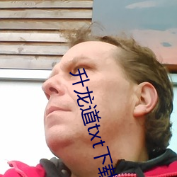 升龙(龍)道txt下载