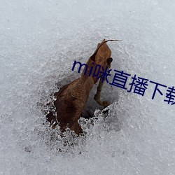 mi咪直播下载
