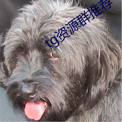 金年会(中国)官方网站